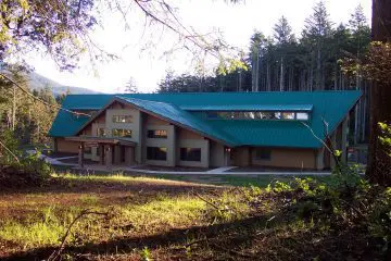 Modern lodge with a green roof nestled in a forest, surrounded by tall trees and sunlight filtering through the branches.