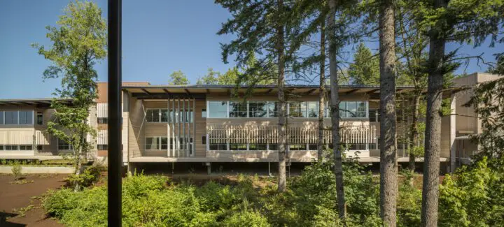 Modern building surrounded by lush trees and greenery under a clear blue sky, showcasing eco-friendly architecture.