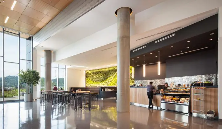 Modern cafe interior with a plant wall, tall windows, and customers at the counter and tables. Bright, spacious design.