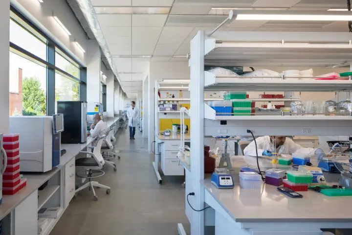 Modern lab with scientists working on experiments and research at workstations, emphasizing innovation and collaboration.