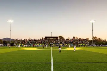 Soccer match at sunset with players on a green field, surrounded by stands filled with spectators under stadium lights.