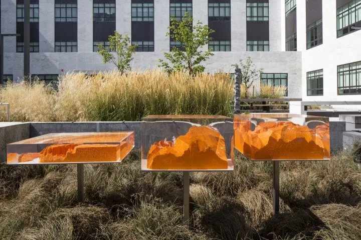 Outdoor art installation with vibrant orange sculptures encased in glass, set against urban architecture and natural grasses.