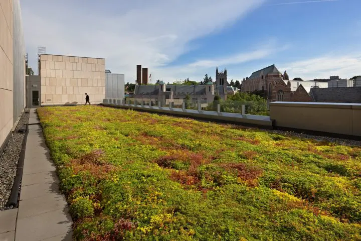 Green roof with lush plants and pathway on an urban building, cityscape in the background under a clear blue sky.