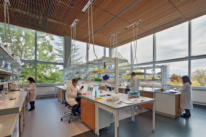 Scientists in a modern lab working with equipment and samples, large windows reveal trees outside, fostering a bright workspace.