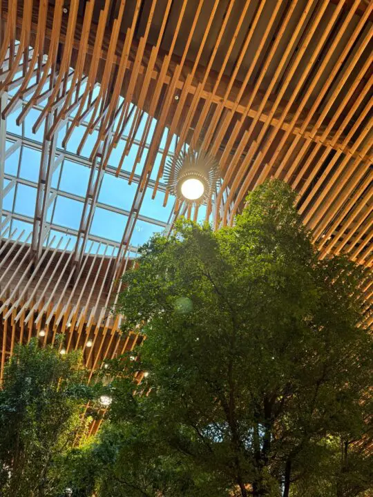 Modern architectural ceiling with wooden beams and skylights, illuminated by a circular light above lush green indoor trees.