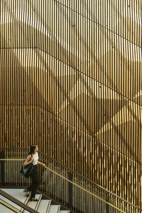 Person ascends modern staircase with wooden slat backdrop and warm sunlight, carrying a black bag.
